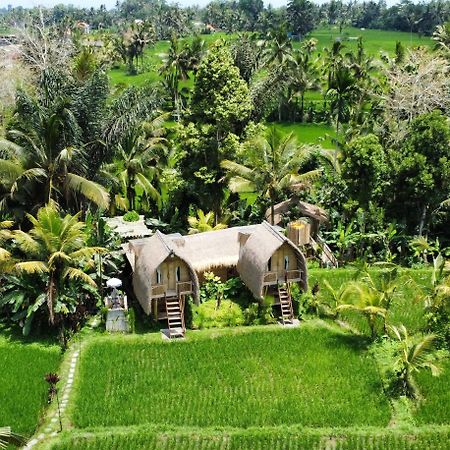 Kawig Bamboo House - Ricefield View, Eco Bamboo Home Tampaksiring Buitenkant foto