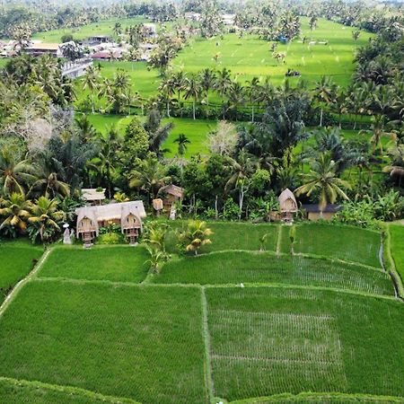 Kawig Bamboo House - Ricefield View, Eco Bamboo Home Tampaksiring Buitenkant foto