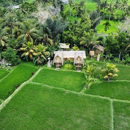 Kawig Bamboo House - Ricefield View, Eco Bamboo Home Tampaksiring Buitenkant foto