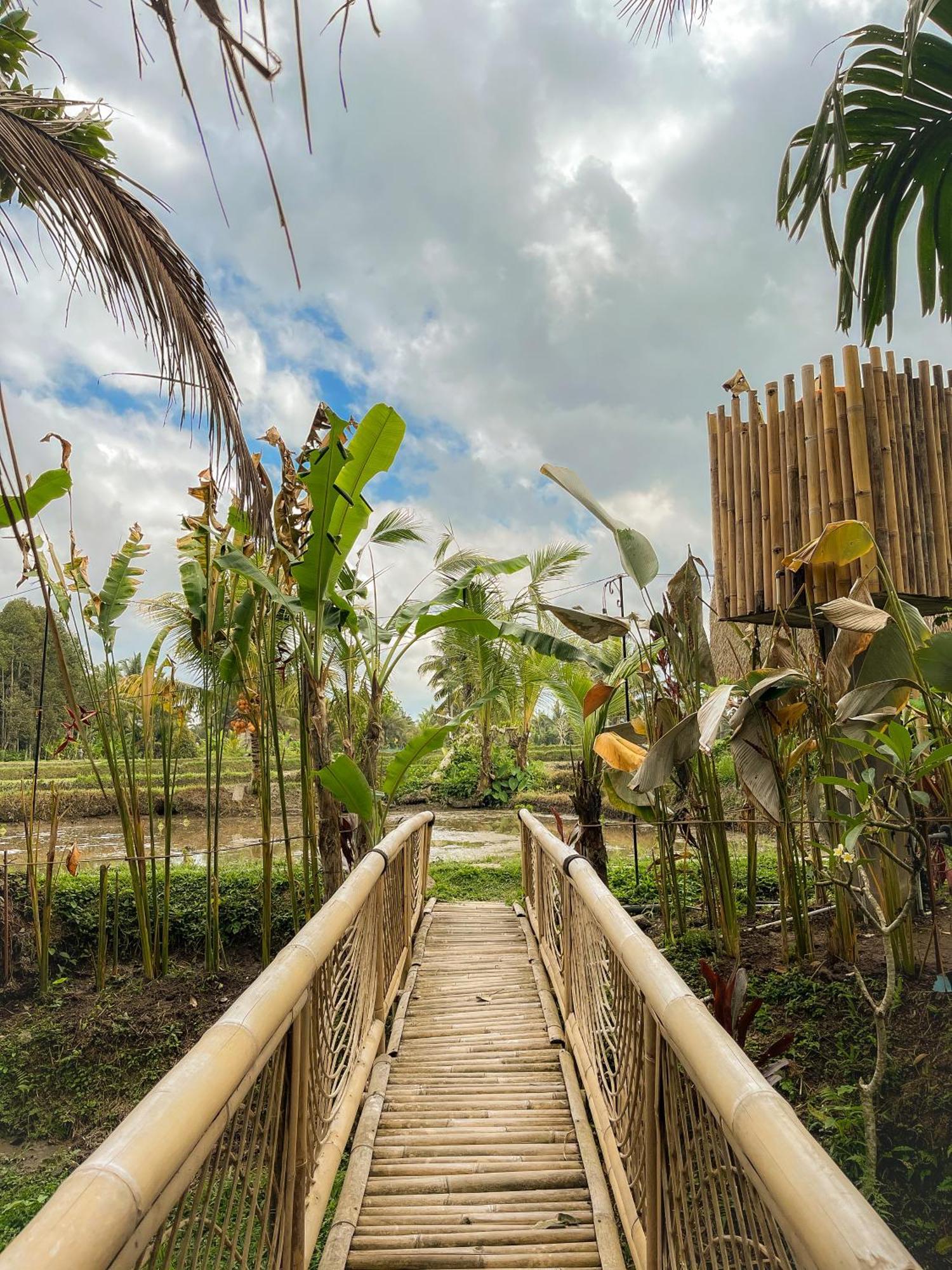 Kawig Bamboo House - Ricefield View, Eco Bamboo Home Tampaksiring Buitenkant foto