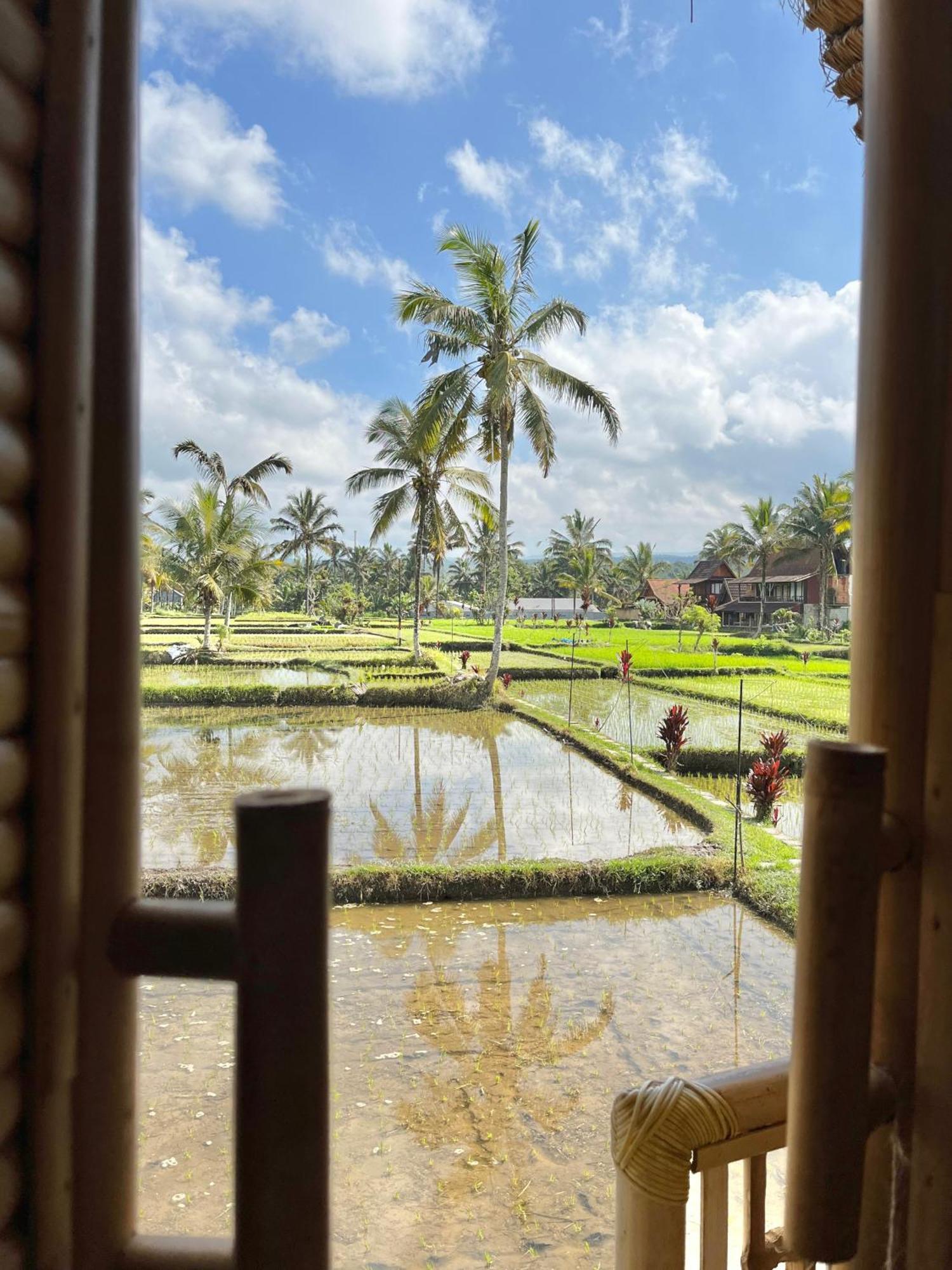 Kawig Bamboo House - Ricefield View, Eco Bamboo Home Tampaksiring Buitenkant foto