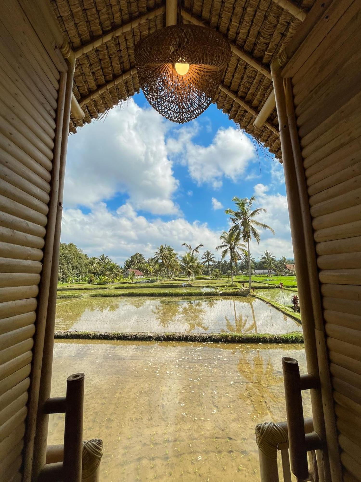 Kawig Bamboo House - Ricefield View, Eco Bamboo Home Tampaksiring Buitenkant foto