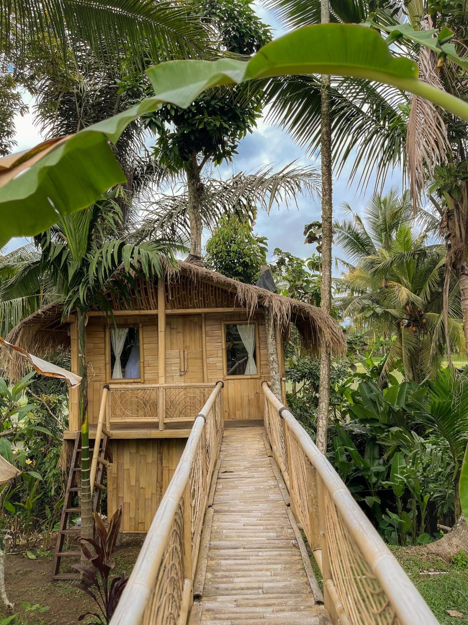 Kawig Bamboo House - Ricefield View, Eco Bamboo Home Tampaksiring Buitenkant foto