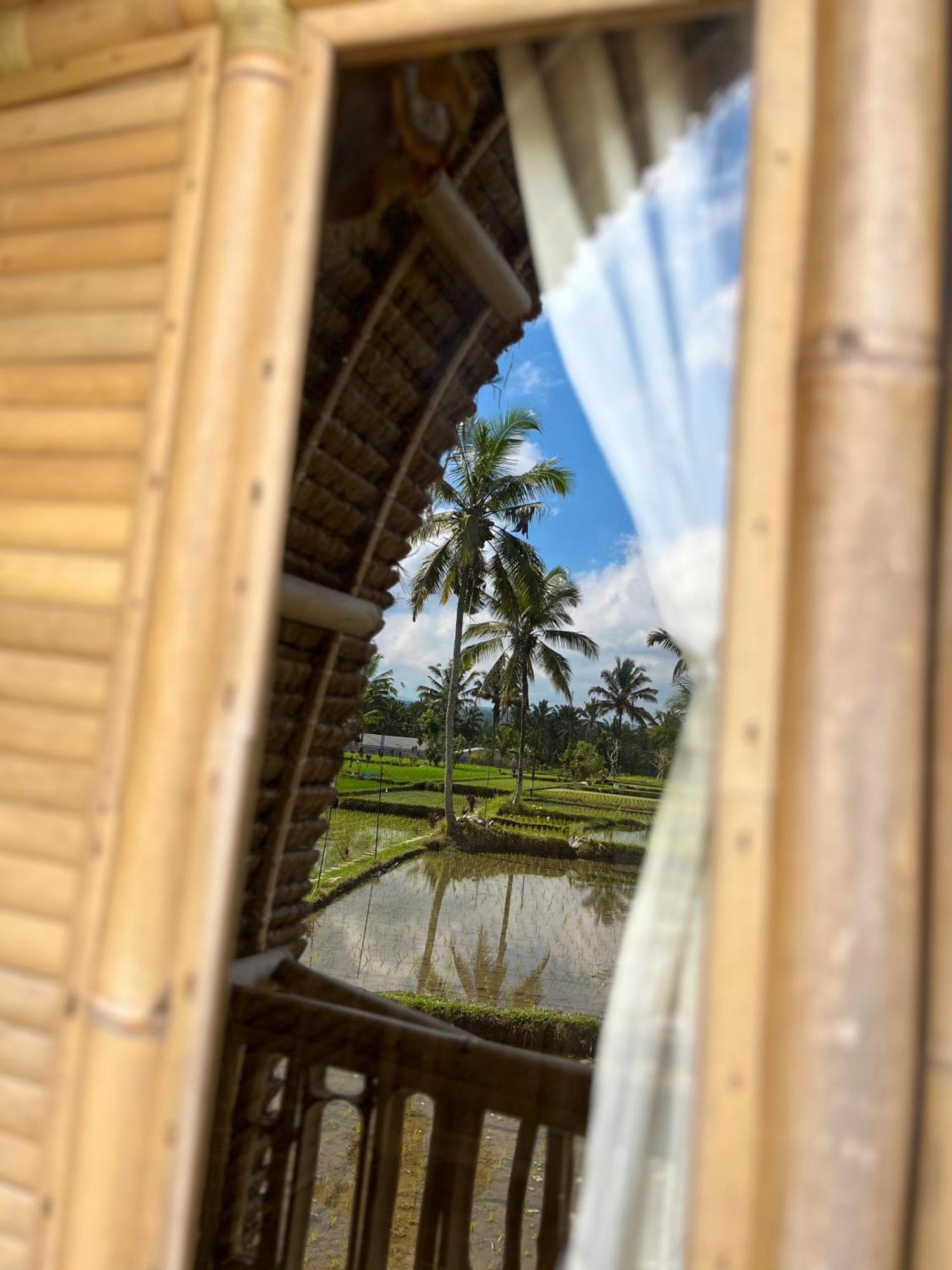 Kawig Bamboo House - Ricefield View, Eco Bamboo Home Tampaksiring Buitenkant foto