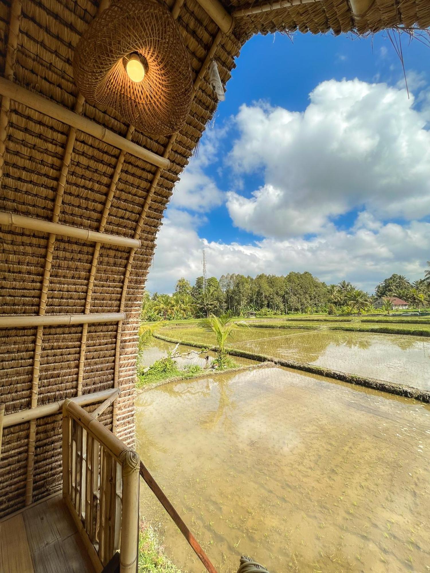 Kawig Bamboo House - Ricefield View, Eco Bamboo Home Tampaksiring Buitenkant foto