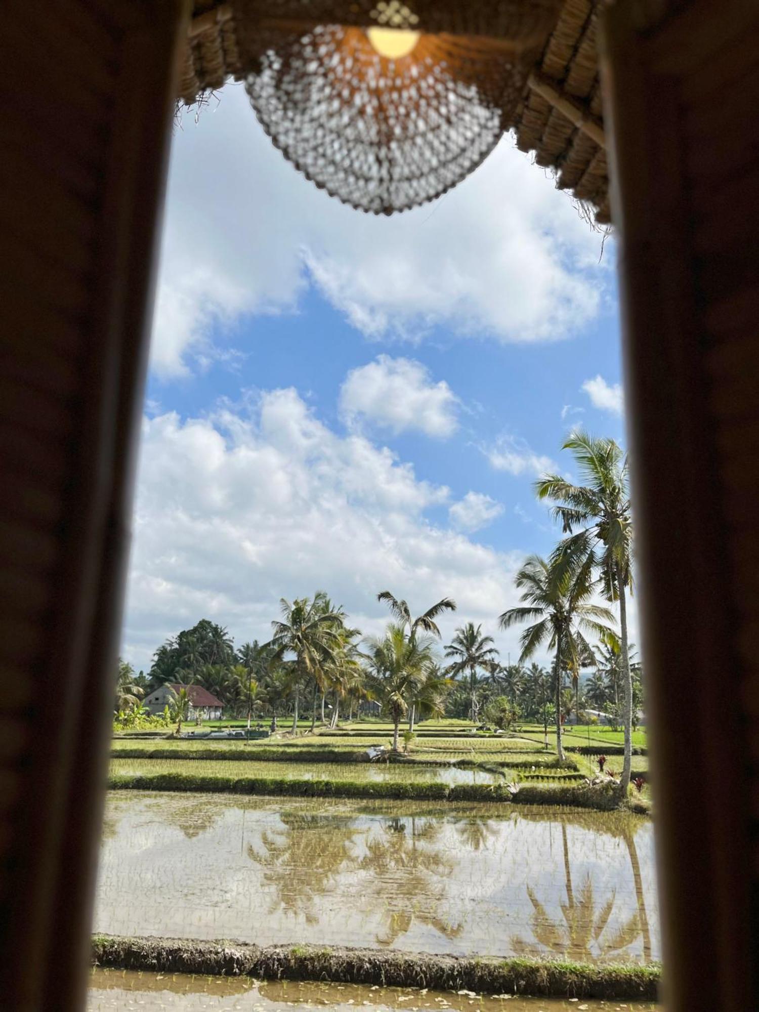 Kawig Bamboo House - Ricefield View, Eco Bamboo Home Tampaksiring Buitenkant foto