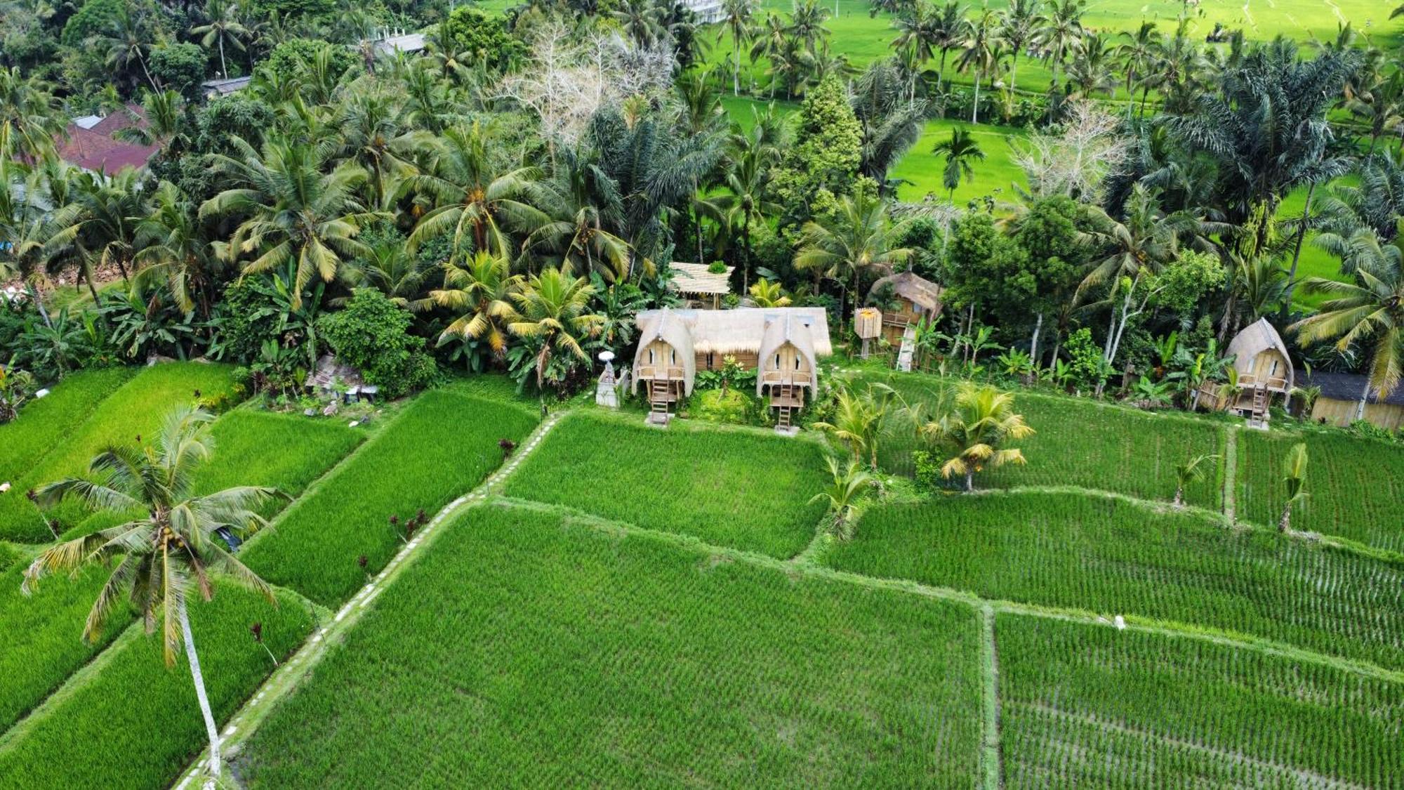 Kawig Bamboo House - Ricefield View, Eco Bamboo Home Tampaksiring Buitenkant foto