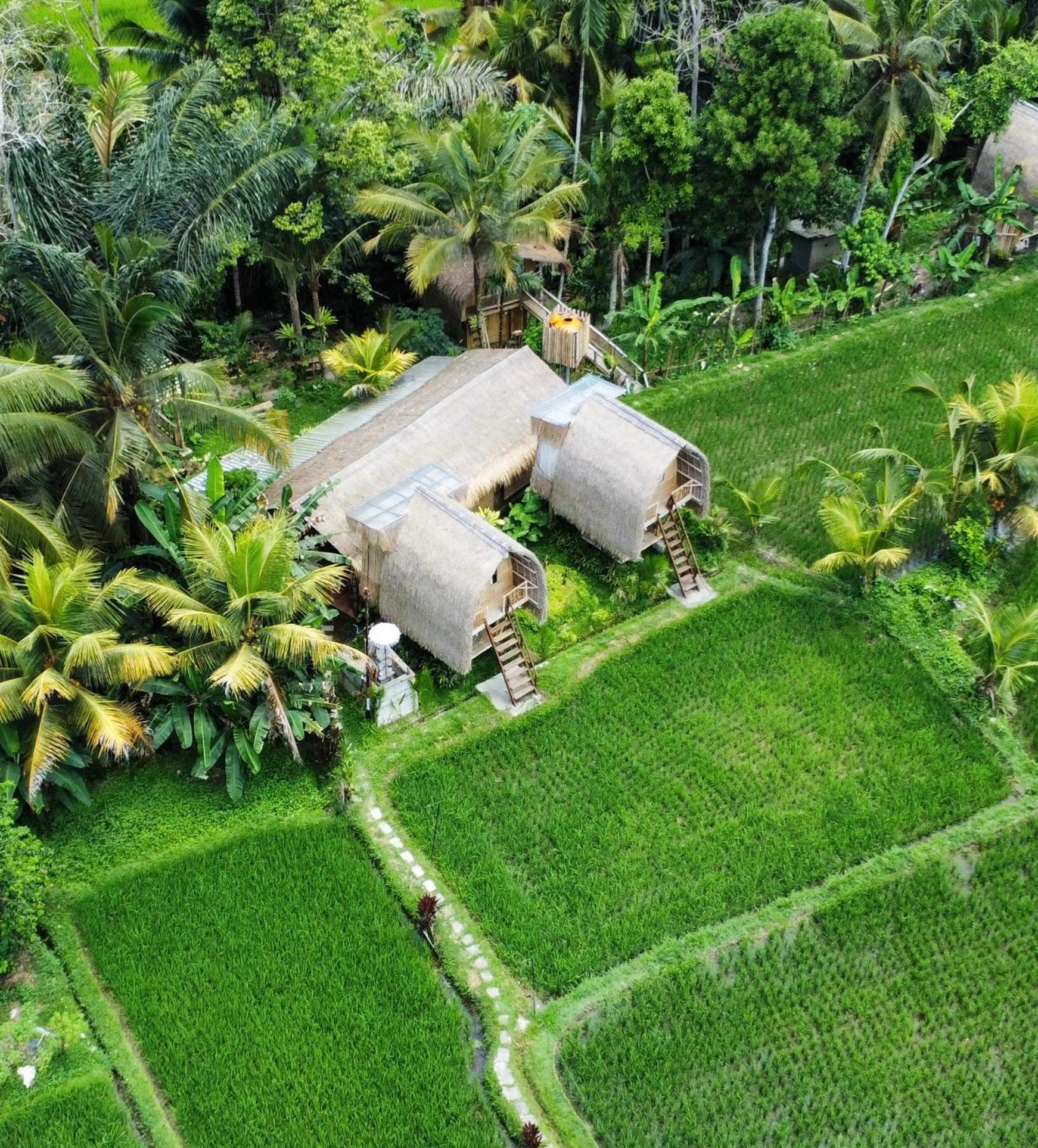 Kawig Bamboo House - Ricefield View, Eco Bamboo Home Tampaksiring Buitenkant foto