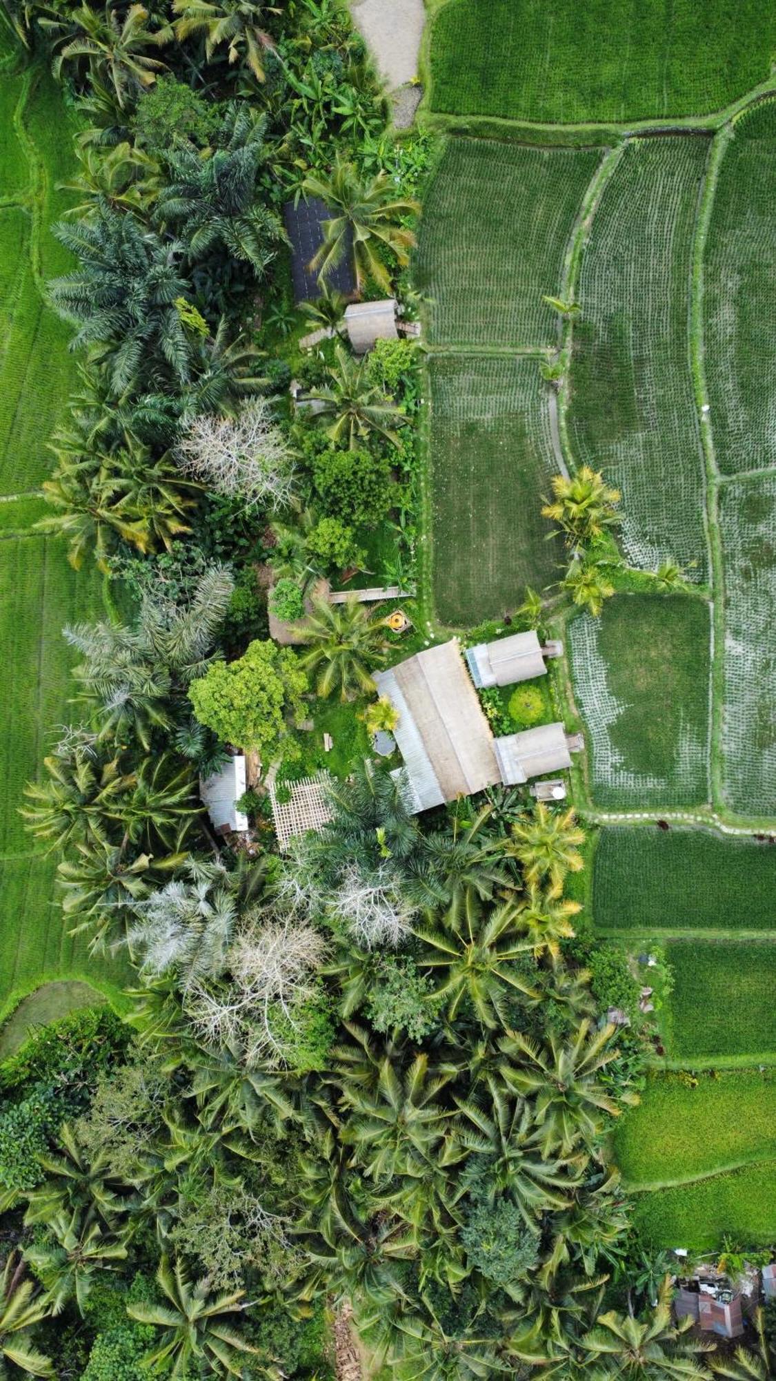 Kawig Bamboo House - Ricefield View, Eco Bamboo Home Tampaksiring Buitenkant foto